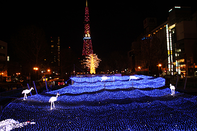 大通り公園のイルミネーション（1）