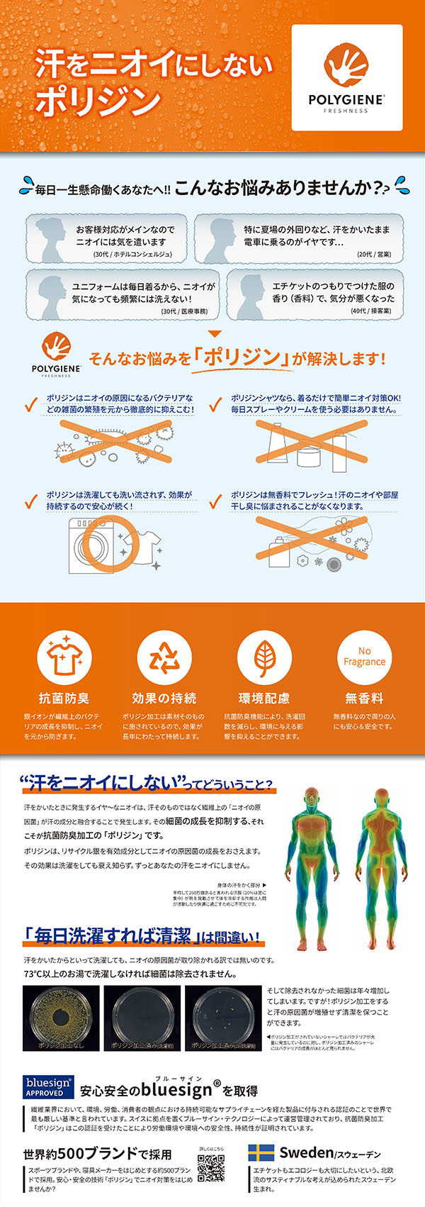 ホワイト