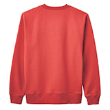 バックショット